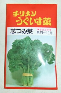 ؎q cݍ؁@u`؁v 10ml^20ml^50ml^1dlinӍ̎j@y݁z