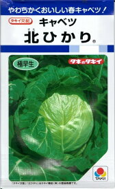 野菜種子　(タキイ種苗)　キャベツ種子　北ひかり　1．8ml袋詰　【送料込み】