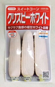 ؎q gERVuNXs[zCgv13mli30{jiTJ^̃^lj@y݁z