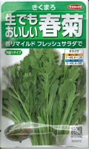 野菜種子 生でもおいしいシュンギク「きくまろ」 40ml(サカタのタネ)【送料込み】 キクマロ 中大葉春菊 しゅんぎく サラダシュンギク