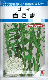 野菜種子　『タキイ種苗』　ゴマ種子　白ごま　18ml袋詰　【送料込み】