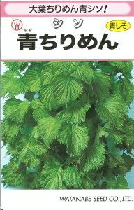 ؎q V\u߂񂵂v@8ml^20ml^50ml^1dl^1LinӍ̎jy݁z ߂񎇑h ߂񂵂 t 