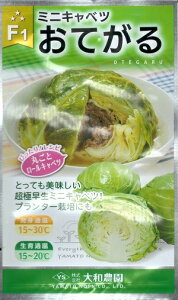 ミニ プランター 野菜 種の人気商品 通販 価格比較 価格 Com