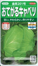 野菜種子 おてがるキャベツ「金系201号」　0.8ml（約65粒）／2,000粒（サカタのタネ）　【送料込み】 甘藍／きゃべつ