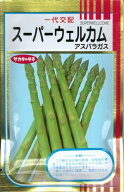 野菜種子 アスパラガス「スーパーウェルカム」20ml／1dl（サカタのタネ）【送料込み】スーパーウエルカム…