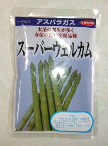 y݌Ɍz؎q AXpKXuX[p[EGJv@ 20ml^1dliTJ^̃^lj@y݁z