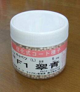 ؎q Lxcuv@R[g5,000ia_jy݁z@ XCZC × ׂ Ɩp ʏo׌pi  މaϕa