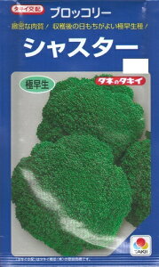 ��؎�q �u���b�R���[�u�V���X�^�[�v�@0.7ml�^20ml�i�^�L�C��c�j�@�y�������݁z��Ԟ��� ���n�i���T�C �߂͂Ȃ₳�� �Ϗ��� �ɑ���