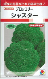 野菜種子 ブロッコリー「シャスター」　0.7ml／20ml（タキイ種苗）　【送料込み】芽花椰菜 メハナヤサイ めはなやさい 耐暑性 極早生