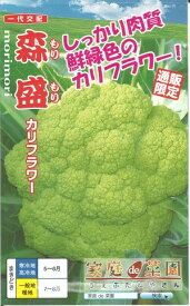 野菜種子　『ナント種苗』　カリフラワーたね　森盛　30粒袋詰　　【送料込み】