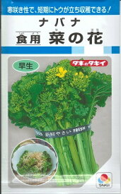 野菜種子　『タキイ種苗』　ナバナたね　食用菜の花　4．5ml袋詰　【送料込み】