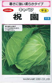 野菜種子 キャベツ「祝園（しゅくえん）」　1.3ml（約156粒）／5ml／10ml／20ml（渡辺採種場）　【送料込み】 甘藍／きゃべつ／早生／YR