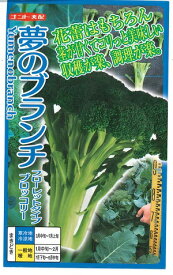 野菜種子 ブロッコリー「夢のブランチ」コート40粒／コート1,000粒（ナント種苗）【送料込み】 ゆめのぶらんち フローレスタイプ 収穫・栽培容易 多収