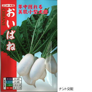 種 かぶの通販 価格比較 価格 Com