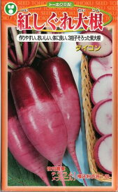 野菜種子　ダイコンたね　(東北種苗)　紅しぐれ大根　5ml詰　【送料込み】