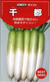 野菜種子　　『キイ種苗』　　ダイコン種子　千都　4.5ml詰／9ml詰／20ml詰／50ml詰／2dl詰　　【送料込み】