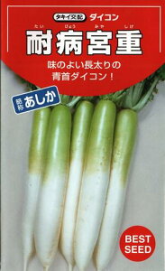 ؎q _CRuϕa{dv@9mli300j^18ml^50ml^2dli^LCcjy݁z ^CrE~VQ т傤݂₵ AVJ  卪 