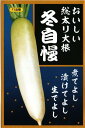 野菜種子 ダイコン「冬自慢（ふゆじまん）」　10ml（約300粒）／15ml／50ml／2dl／ペレット200粒／ペレット500粒／ペレット5,000粒（サカタのタネ）【送料込み】 大根／だいこん