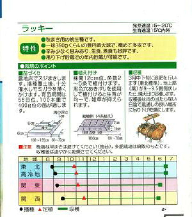 楽天市場 野菜種子 タマネギ 渡辺採種場 ラッキー ml袋詰 送料込み 鈴乃園 楽天市場店