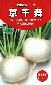 野菜種子　　『タキイ種苗』　　カブ種子　京千舞　2.2ml詰(約400粒)／3.5ml詰／20ml詰／1dl詰　　【送料込み】