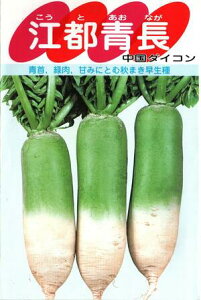 ؎q ~j_CRu]sv@10ml^20mliTJ^̃^ljy݁zƂȂ REgAIiK 卪  