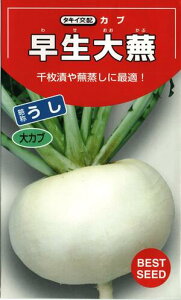 カブ 種の通販 価格比較 価格 Com