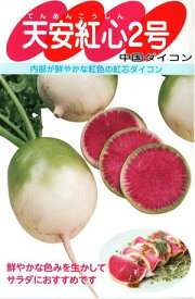 野菜種子　ダイコン種子　（サカタのタネ）　天安紅心2号　4ml袋詰　(約200粒)　【送料込み】