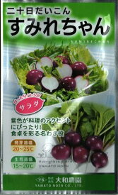 野菜種子 二十日だいこん「すみれちゃん」　5ml／20ml（約1,600粒）／2dl（大和農園）【送料込み】 スミレチャン 二十日大根 はつかだいこん ハツカダイコン 周年栽培 晩生 在圃性