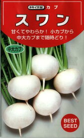 野菜種子　　『タキイ種苗』　　カブ種子　スワン　3.5ml詰／6.5ml詰／20ml詰／1dl詰　　【送料込み】