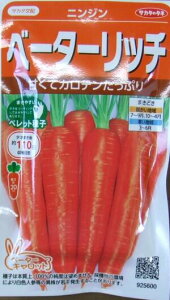 ؎q jWux^[b`v350iTJ^̃^ljy݁zlQ ɂ񂶂 Lbg N͔| Ӓ Ϗ ϊ ቷ含 ቷF ϕa