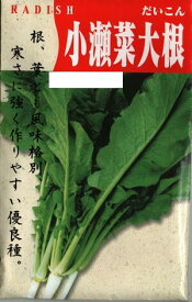 野菜種子　　『渡辺採種場』　　葉だいこん種子　小瀬菜大根　9ml詰／20ml詰／1L詰　　【送料込み】