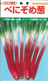 野菜種子　ネギたね　(カネコ種苗)　べにぞめ葱　6ml詰　/　20ml詰　/　2dl詰　【送料込み】