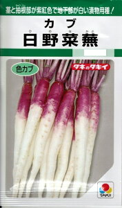 ؎q Juuؕv@15ml^1dl^1Li^LCcj@y݁zԁ^Ђ̂Ȃԁ^qmiJu