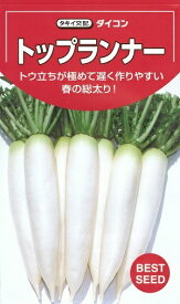 野菜種子　ダイコン種　『タキイ種苗』　トップランナー　20ml袋詰　【送料込み】