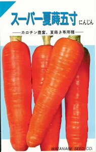 ؎q jWuX[p[Ďܐv@6ml^20ml^50ml^1dlinӍ̎j@y݁z ܐlQ ɂ񂶂 Lbg X[p[Ȃ܂