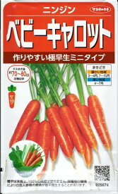 野菜種子　にんじん　『　サカタのタネ　』　ベビーキャロット　4.5ml袋詰　【　送料込み　】