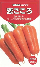 野菜種子　　『タキイ種苗』　　にんじん種子　恋ごころ　ペレット200粒詰／ペレット500粒詰／ペレット1万粒詰　　【送料込み】