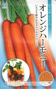 ؎q jWuIWn[j[ɂ񂶂v@400iێj@y݁zlQ ɂ񂶂 Lbg JtLbg XeBbNT_ W[X