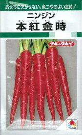 野菜種子　『タキイ種苗』　ニンジンたね　本紅金時　7ml詰／1dl詰／2dl詰　　【送料込み】