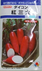 【人気品種】野菜種子 ダイコン「紅三太」　7ml（約700粒）／20ml／50ml／2dl（タキイ種苗）　【送料込み】