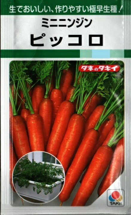 楽天市場】野菜種子 ミニニンジンたね (タキイ種苗) ピッコロ 7ml袋詰【送料込み】 家庭菜園 プランター : 鈴乃園 楽天市場店 楽天市場】野菜種子 ミニニンジンたね (タキイ種苗) ピッコロ 7ml袋詰【送料込み】 家庭菜園 プランター : 鈴乃園 楽天市場店