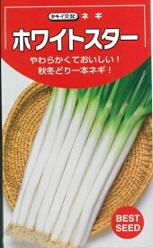 野菜種子 　『ネギタネ』　 タキイ交配 　タキイ種苗 ホワイトスター　4．5ml詰　/　8ml詰　/ 20ml詰　/　1dl詰　/　ペレット200粒　 【送料込み】