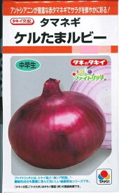 【在庫限り】野菜種子 赤タマネギ「ケルたまルビー」　1.8ml／20ml／50ml／2dl／ペレット200粒／ペレット500粒／ペレット10,000粒（タキイ種苗）　【送料込み】　 中早生 ファイトリッチ 玉葱 玉ネギ 玉ねぎ たまねぎ ケルタマルビー けるたまるびー