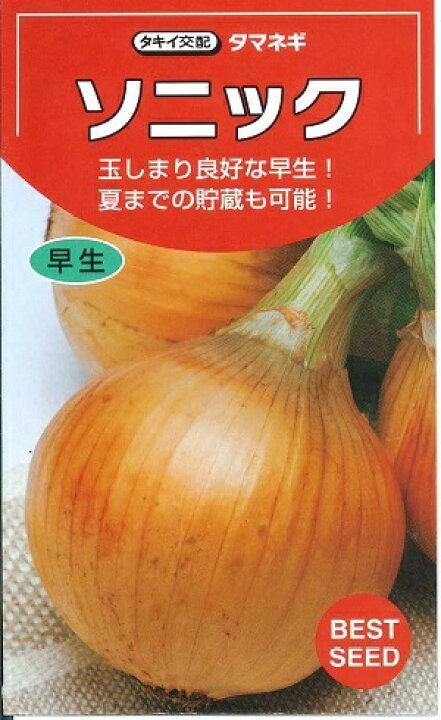 楽天市場】野菜種子 たまねぎたね 『タキイ種苗』 ソニック 2L 