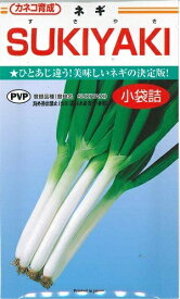 【大人気】野菜種子 ネギ「SUKIYAKI（スキヤキ）」　3.5ml／20ml詰／2dl（カネコ種苗）　【送料込み】