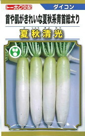 野菜種子　『トーホク種苗』　だいこんたね　夏秋清光　5ml袋詰　【送料込み】