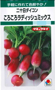 ؎q \_CRu낱냉fBbV~bNXv@300i^LCcj@y݁z卪^^\卪