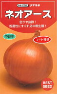野菜種子 タマネギ「ネオアース」2Lペレット200粒／2Lペレット500粒／2Lペレット1,000粒／2Lペレット1万…