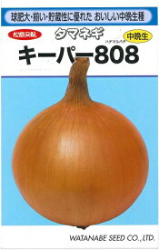 野菜種子 タマネギ「キーパー808」　2.8ml／10ml／20ml／1dl／ペレット160粒／ペレット500粒／ペレット1,000粒／ペレット5,000粒（渡辺採種場）　【送料込み】 玉葱／玉ねぎ／玉ネギ／たまねぎ