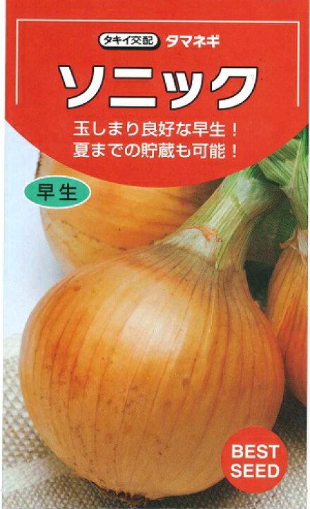 楽天市場】野菜種子 たまねぎたね 『タキイ種苗』 ソニック 2L 
